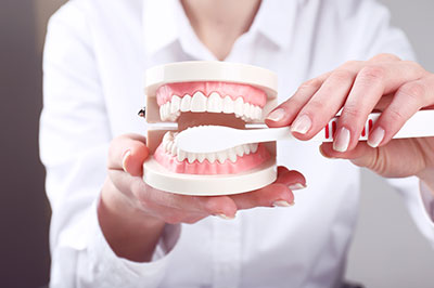 A person s hand holding a dental model with a missing tooth and a pair of tweezers, demonstrating the process of dental implant placement.